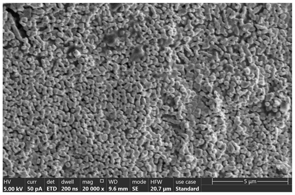 Copper tungstate photo-anode film and preparation method thereof