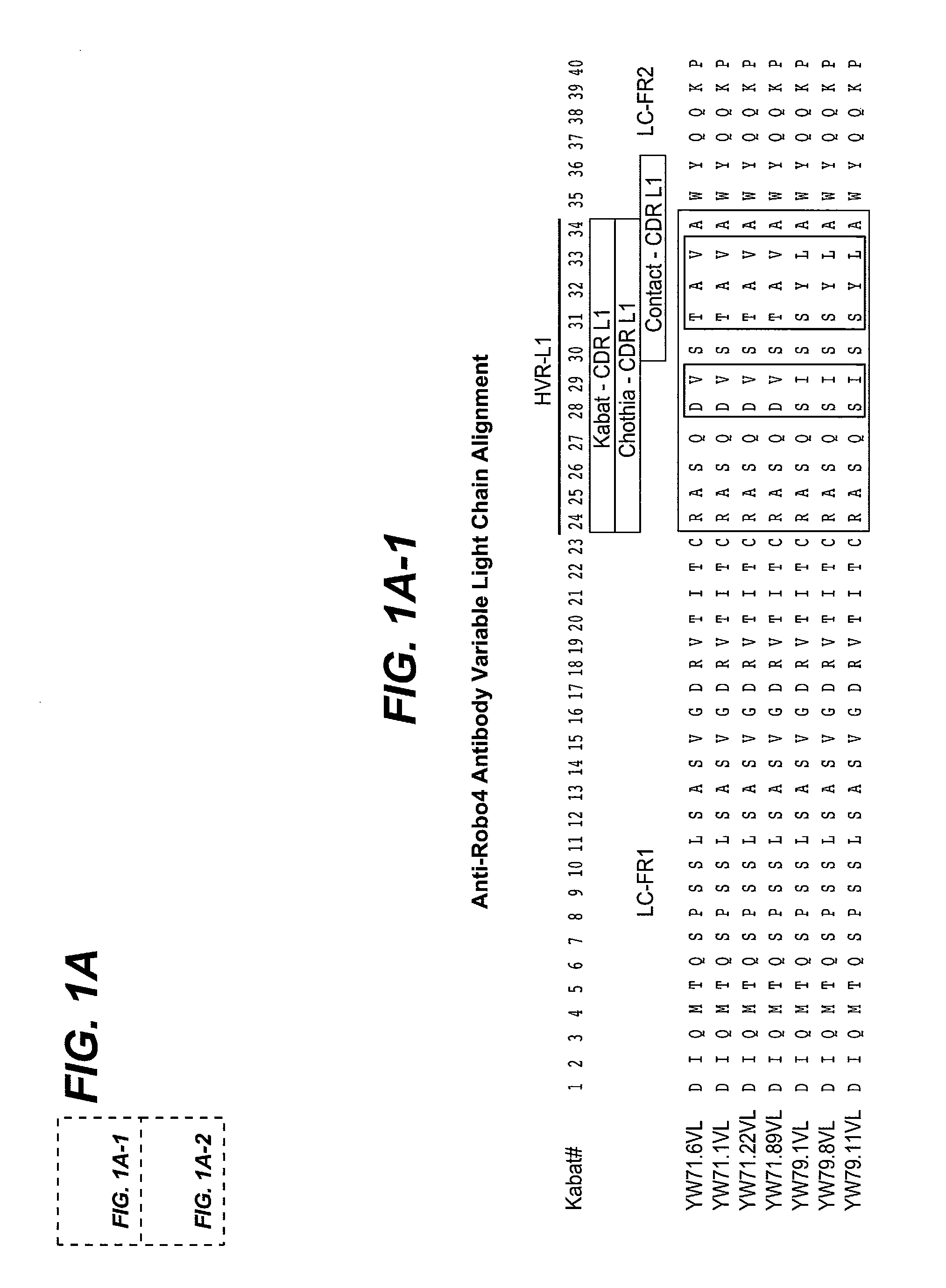 Anti-robo4 antibodies and uses therefor