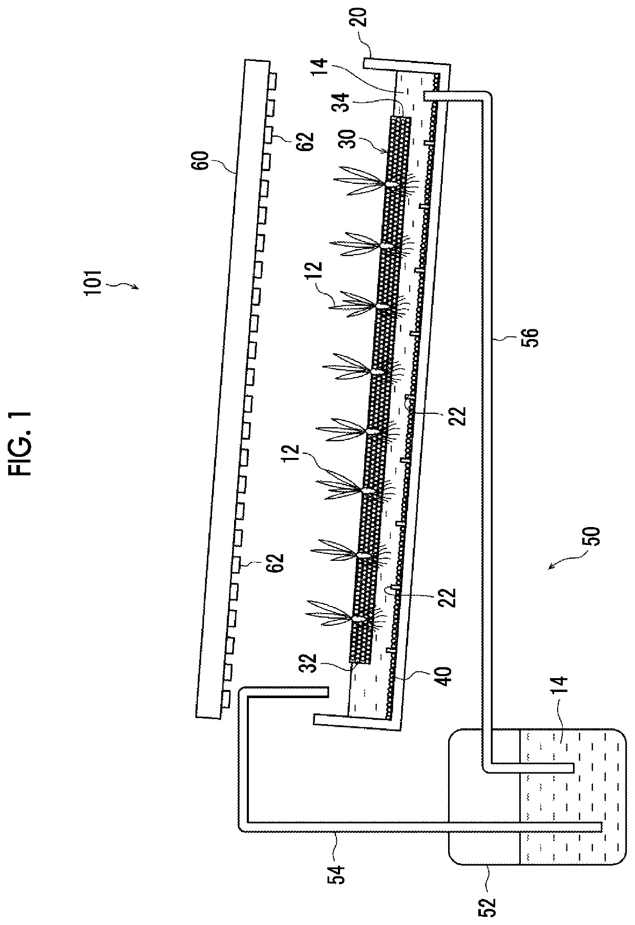 Water purification particles, water culture apparatus, and water purification apparatus