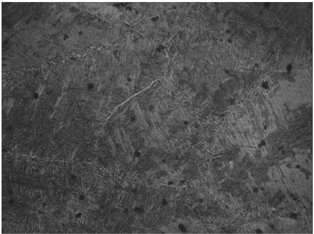 Method for preparing large-scale titanium and titanium alloy metallographic samples