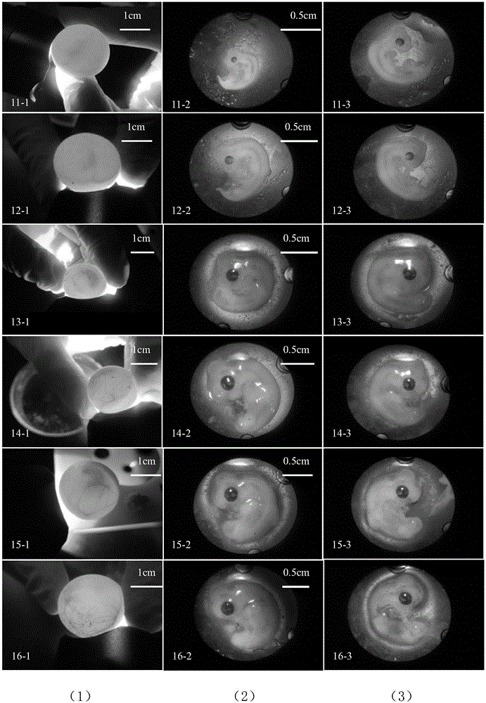 Method for judging time phase of embryonic development of Chinese softshell turtles without anatomy
