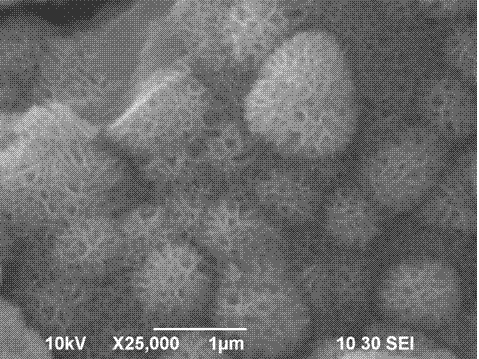 Hollow honeycomb MnO2/C micro nanosphere and microrod preparation method