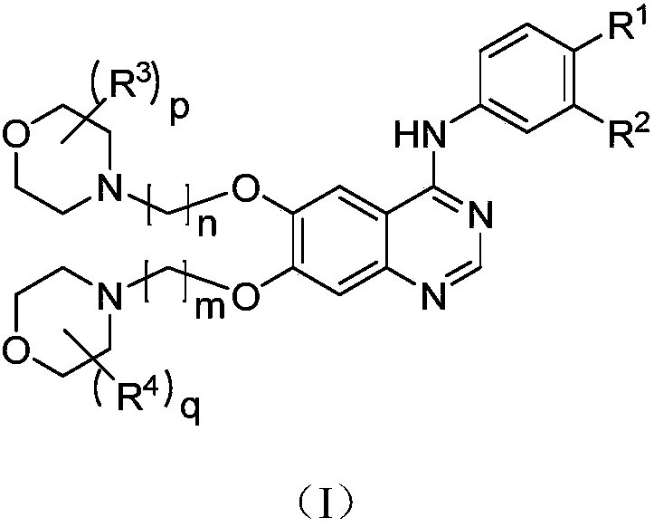 Bis(morpholinyl alkoxyl) quinazoline derivative and purpose thereof in anti-tumor aspect