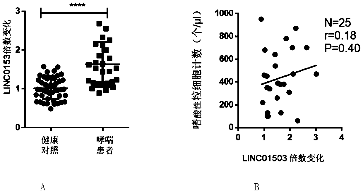 Application of LINC01503 serving as therapeutic target to preparation of medicines for treatment of pediatric asthma