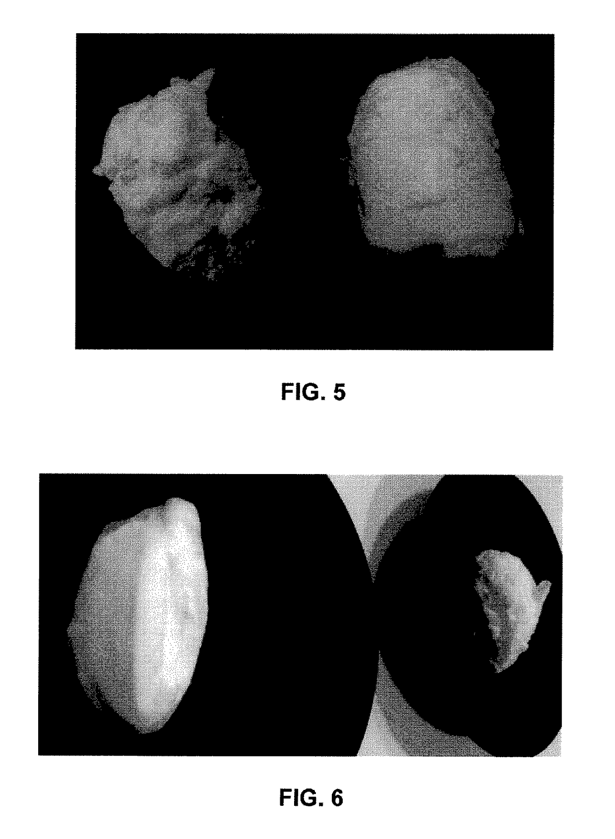 Healthy food compositions having gel or foam textures and comprising hydrolyzed egg products