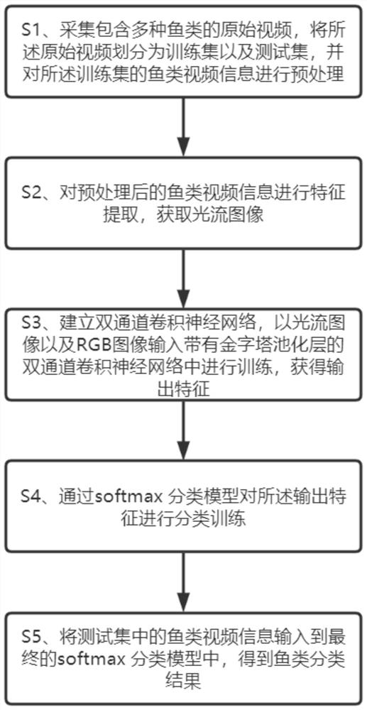 TPP-TCCNN-based marine fish identification method