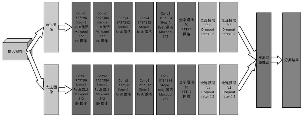 TPP-TCCNN-based marine fish identification method