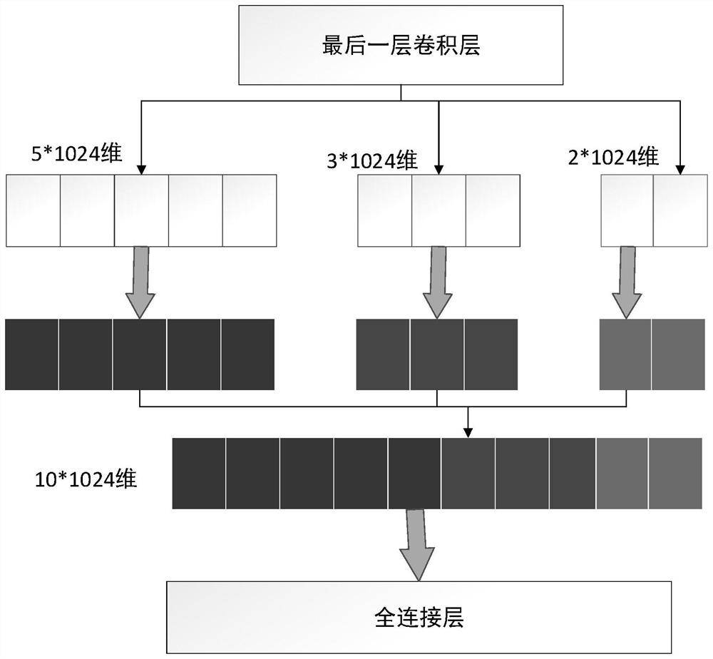 TPP-TCCNN-based marine fish identification method