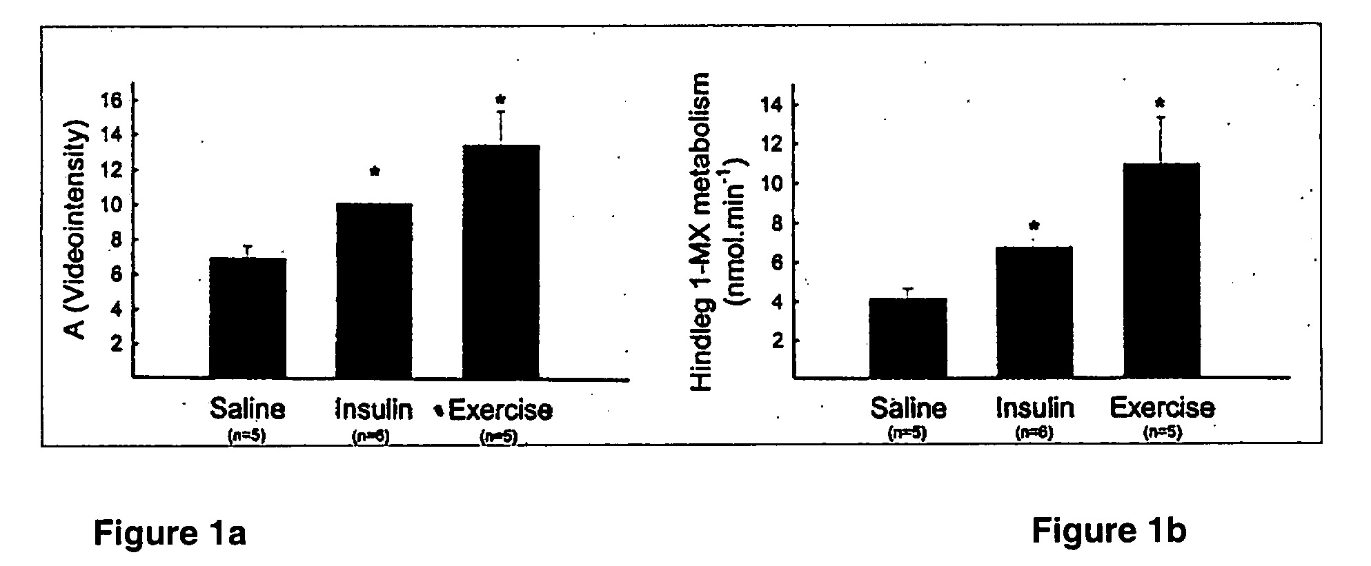 Methods and pharmaceuticals for treating muscle insulin resistance and related conditions