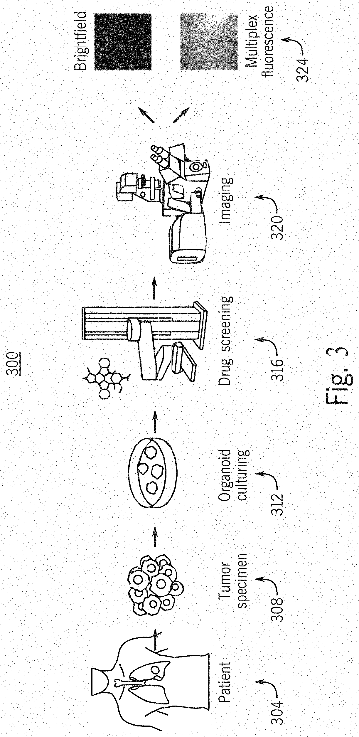 Artificial flourescent image systems and methods