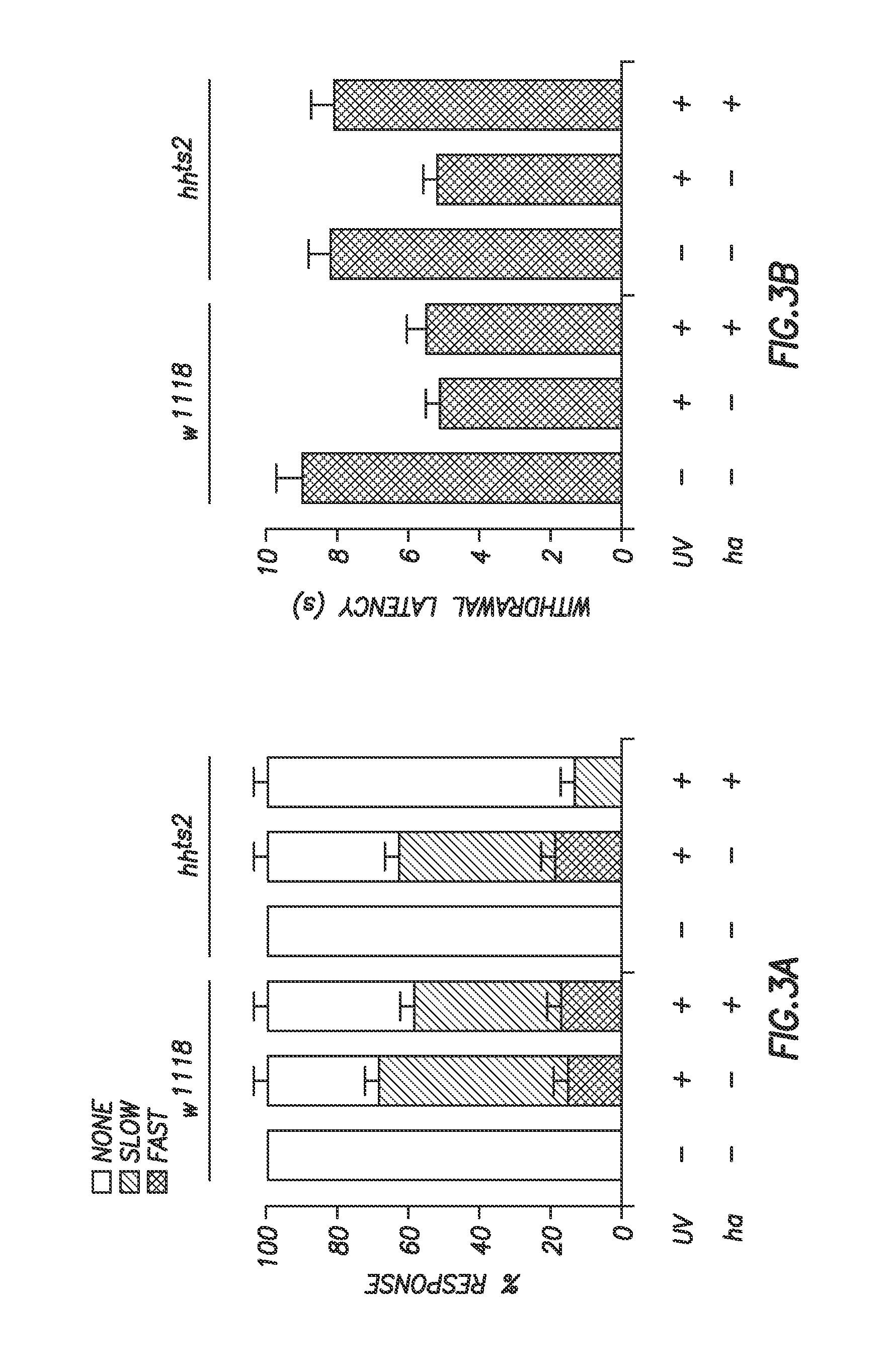 Methods of treating pain and morphine tolerance via modulation of hedgehog signalling pathway