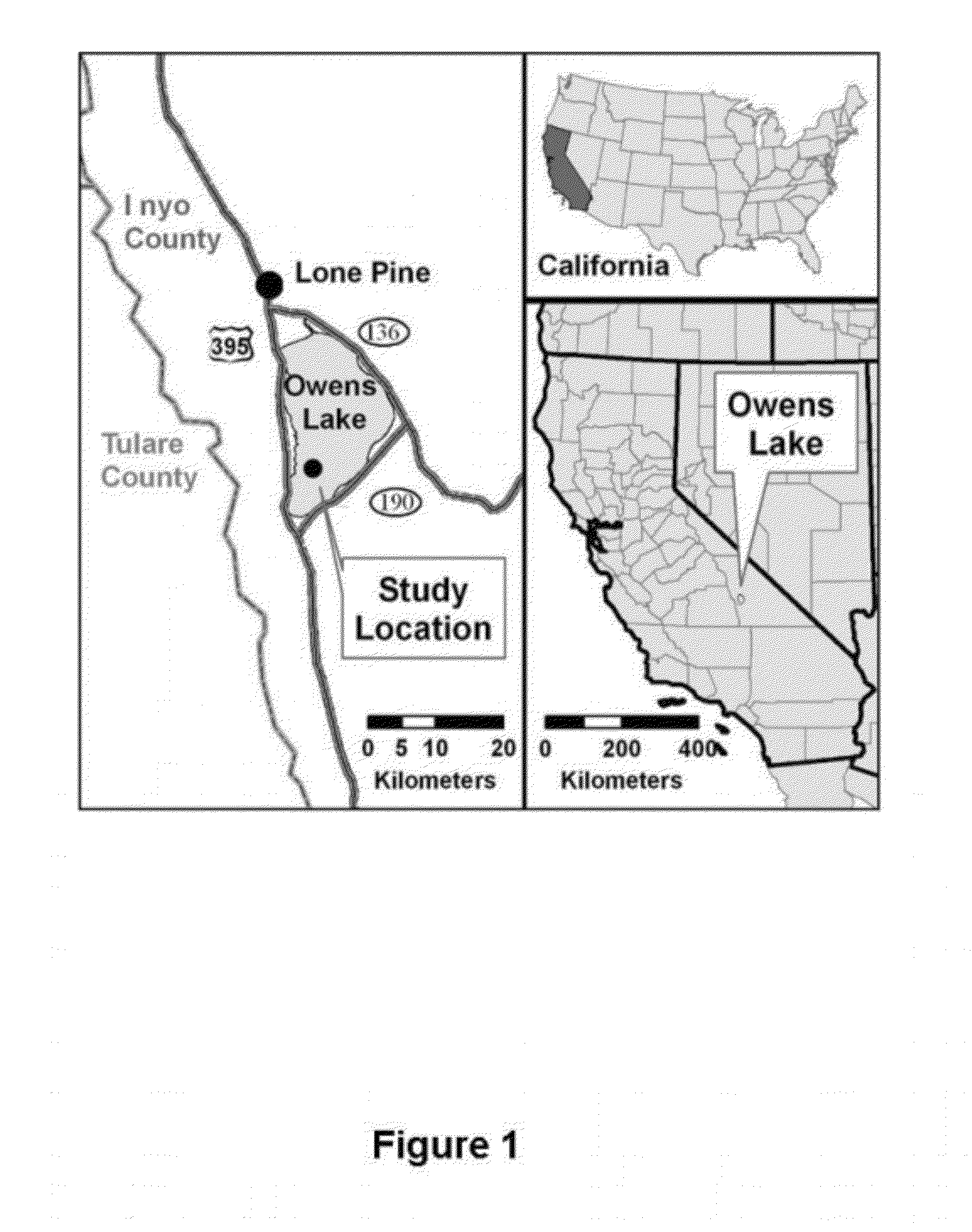 Method for dust control on saline dry lakebeds using minimal water resources