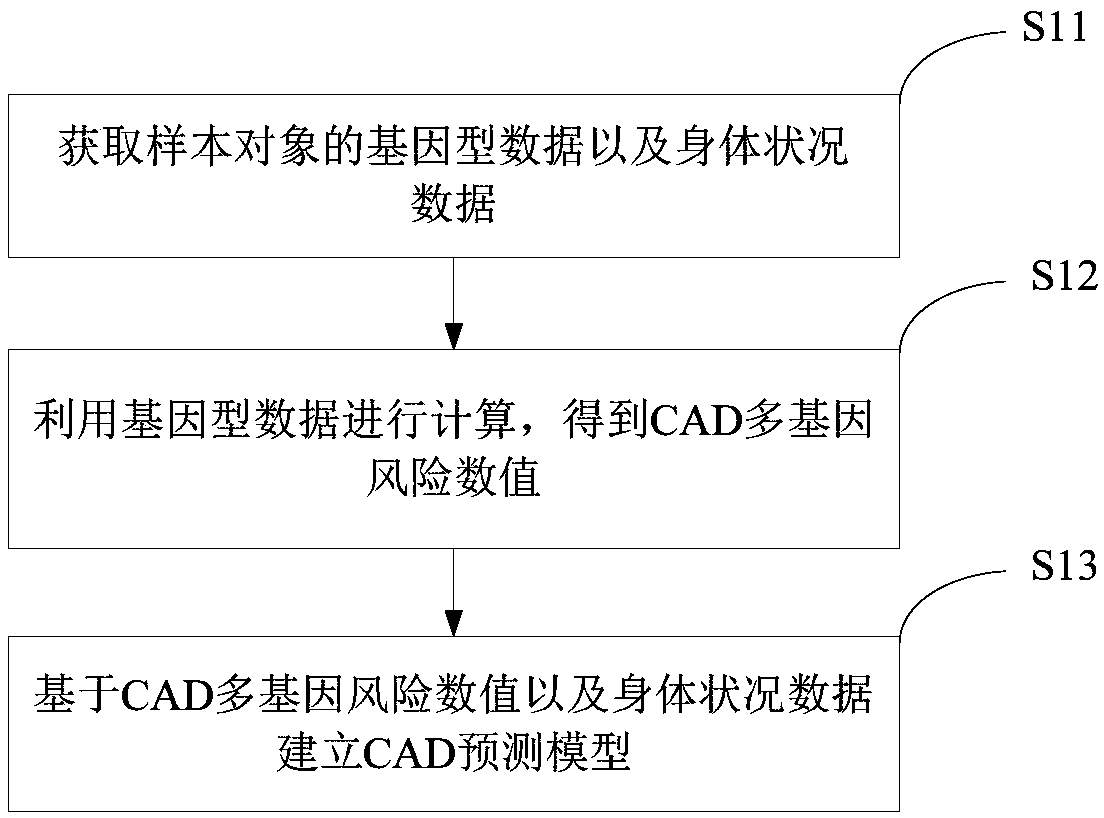 CAD prediction model establishing method and device and electronic equipment