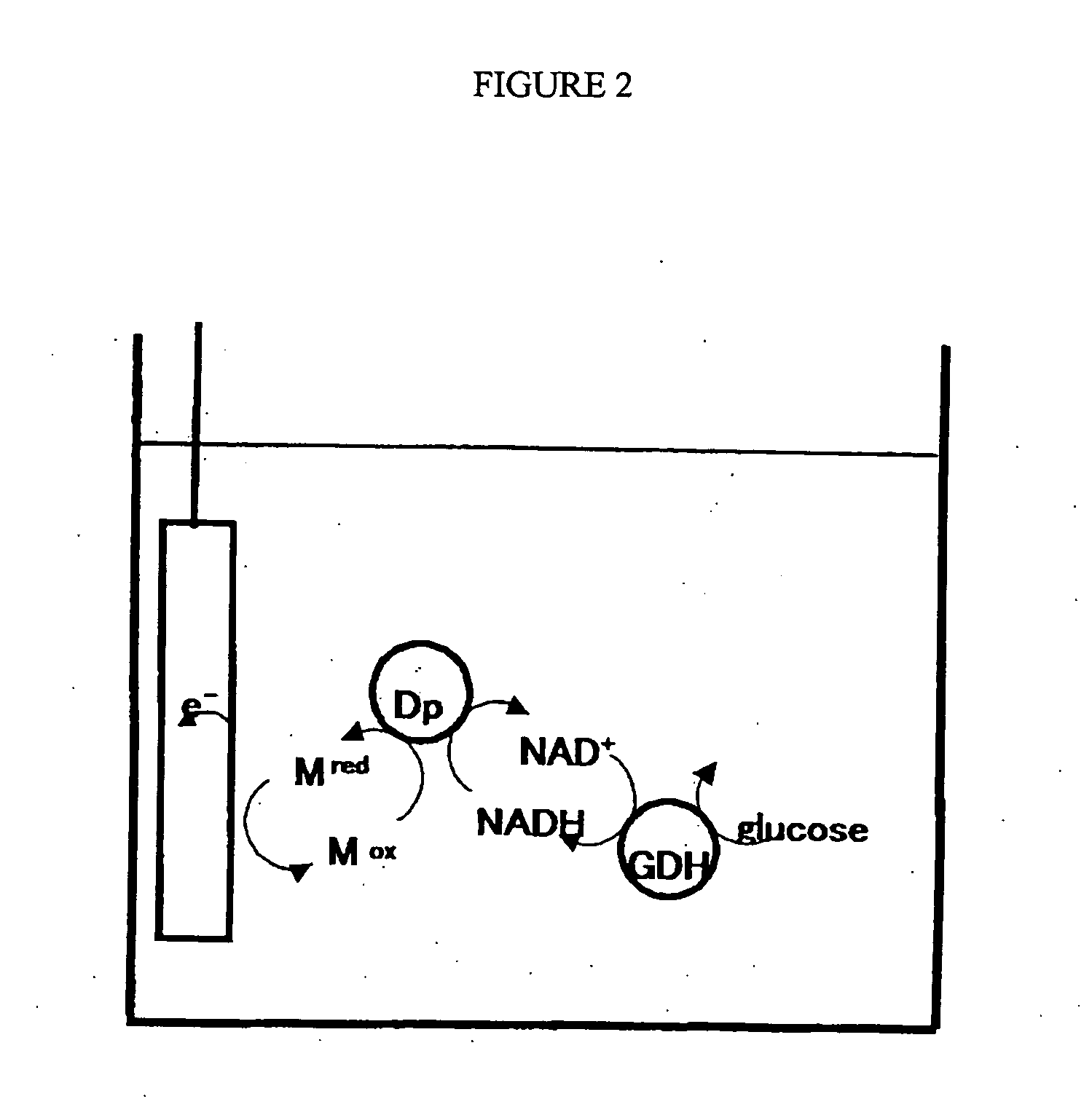 Electron mediator, electron mediator immobilized electrode, and biofuel cell using the electrode