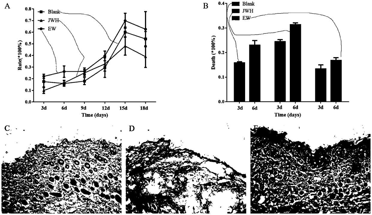 Preparation method of earthworm protein microsphere nano-trauma complex and application