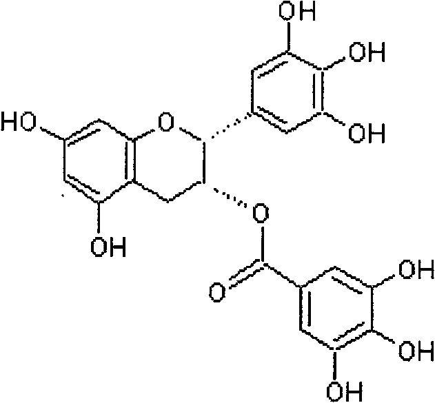 (-)-Epigallocatechin-3-gallate pill composition and application thereof