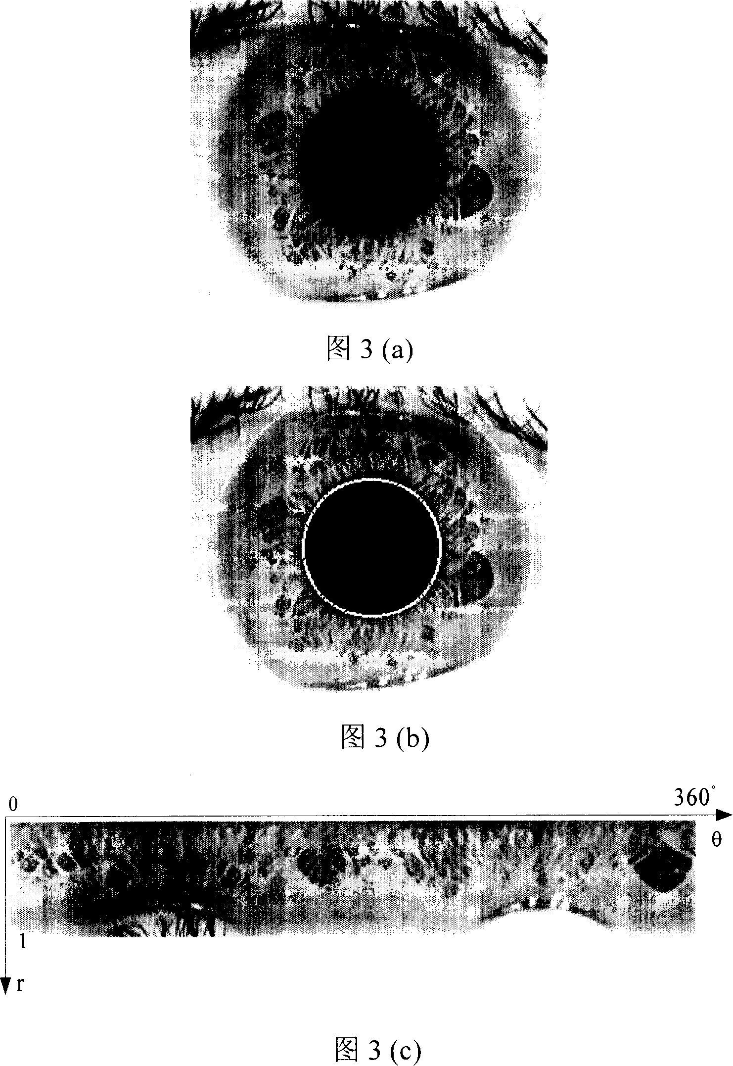 Method for recognizing iris with matched characteristic and graph based on partial bianry mode