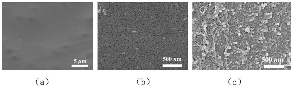 Metal ion-organic acid complex in-situ cross-linked composite membrane and preparation and application thereof