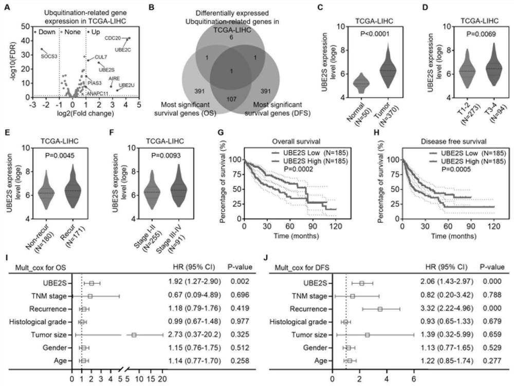 Method for verifying reason for promoting HCC chemotherapy drug resistance by regulating PTEN-AKT signal axis through UBE2S