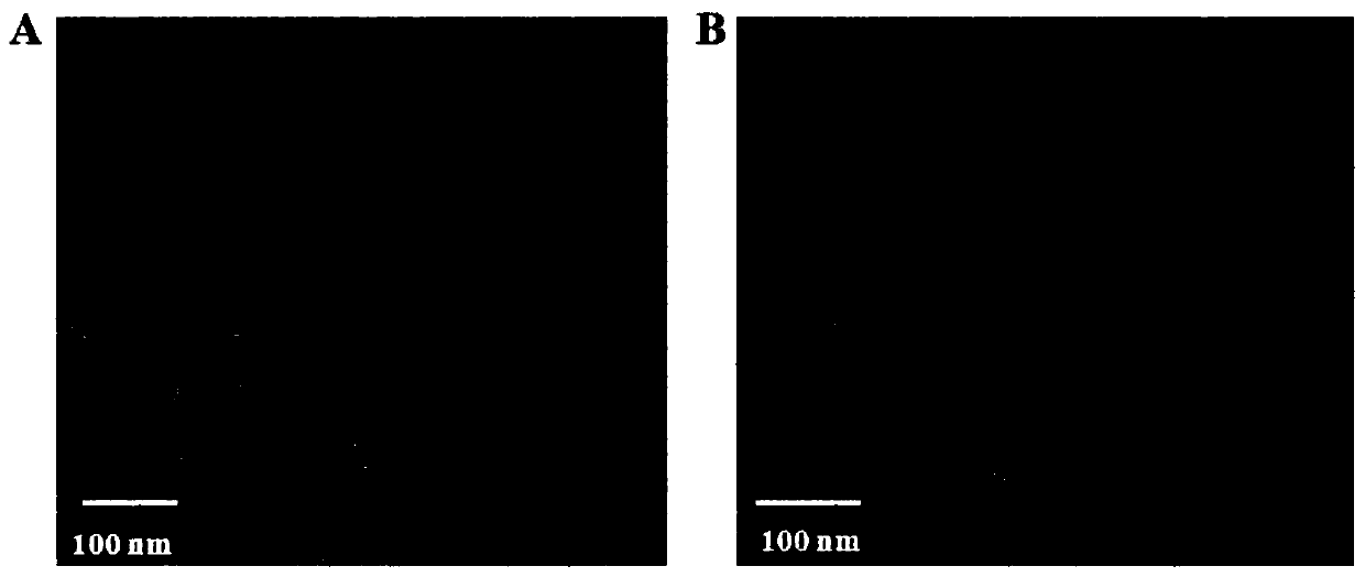 Preparation method of Ru nano-material with different morphologies and application of preparation method