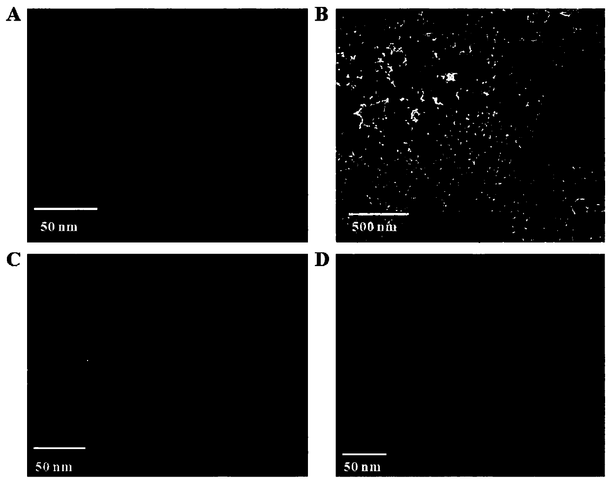 Preparation method of Ru nano-material with different morphologies and application of preparation method