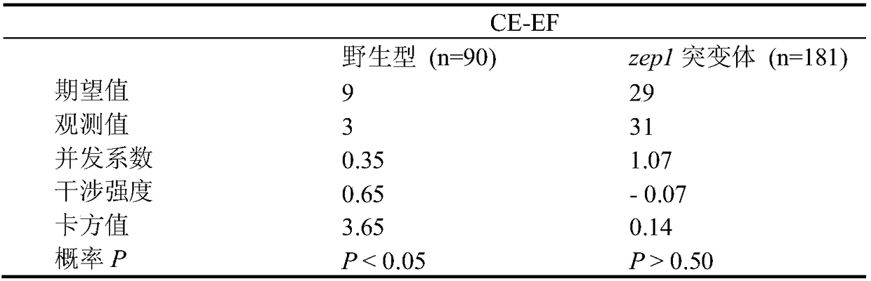 Method for obtaining rice mutant with lost genetic intervention and application thereof