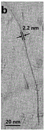 Synthesis method of monoclinic crystal phase rare-earth iso-oxy-sulfur superfine nanowire and wire-based superstructure