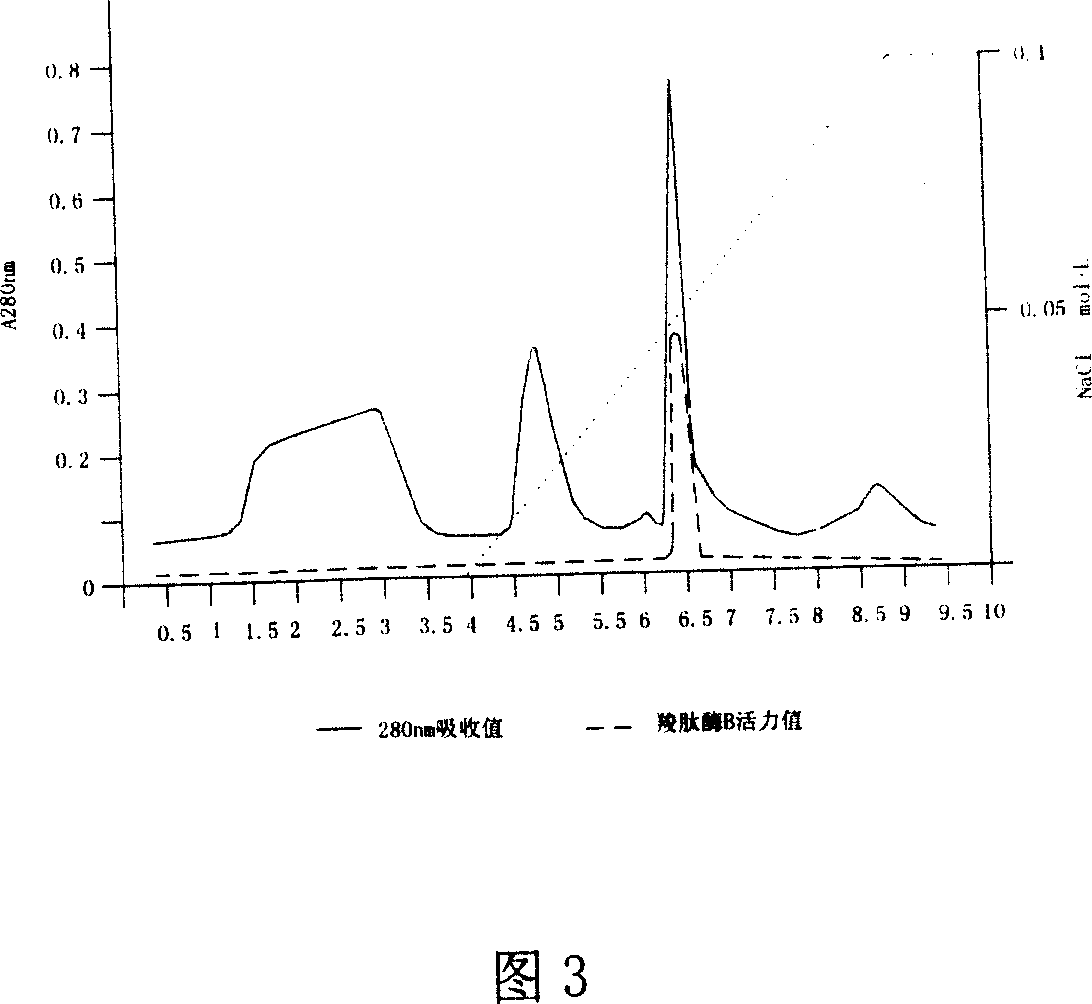 Preparation method of protaminase B and its composition
