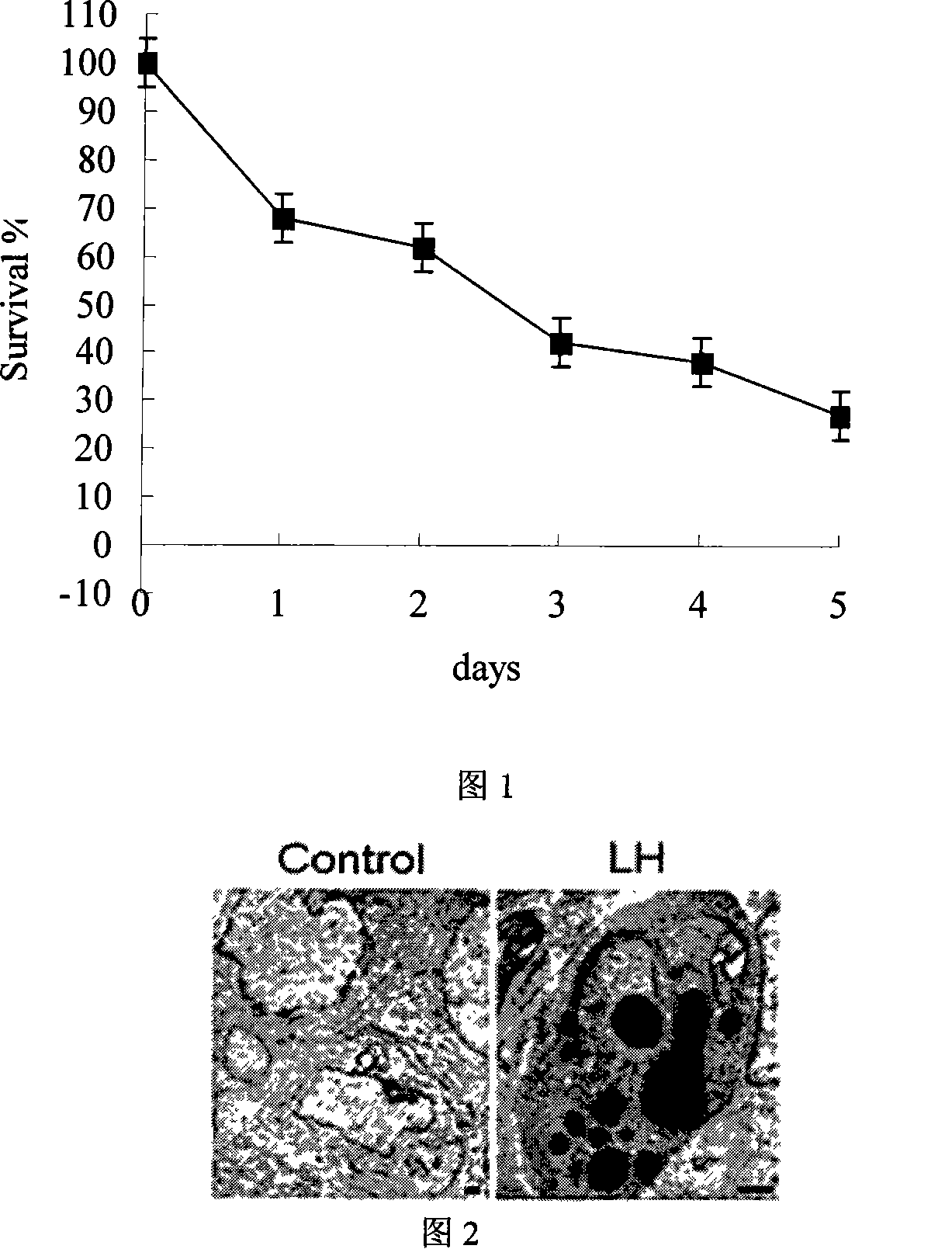 Peptide for inhibiting solid tumor and leukaemia cancer cell growth and use thereof