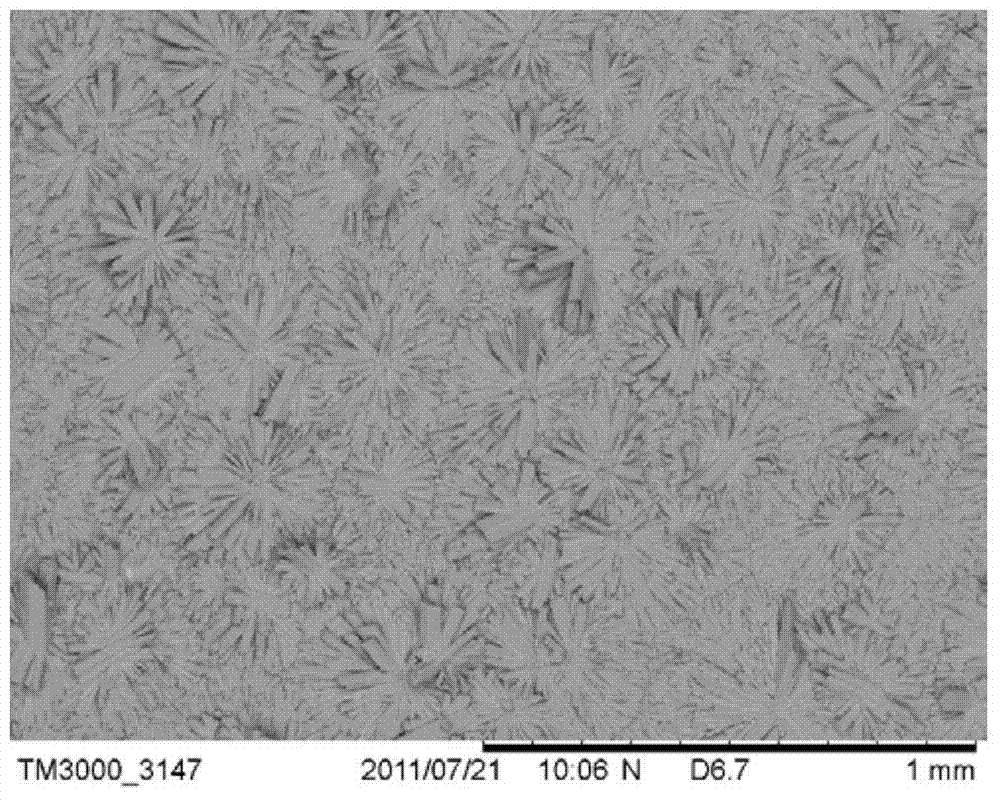 Phosphorus aluminum molecular sieve membrane potentiostatic synthesis method