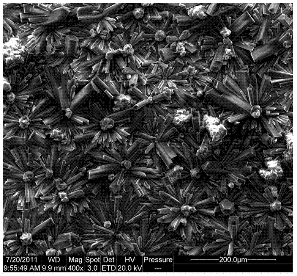 Phosphorus aluminum molecular sieve membrane potentiostatic synthesis method