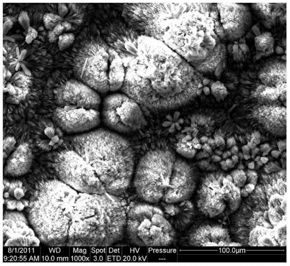 Phosphorus aluminum molecular sieve membrane potentiostatic synthesis method