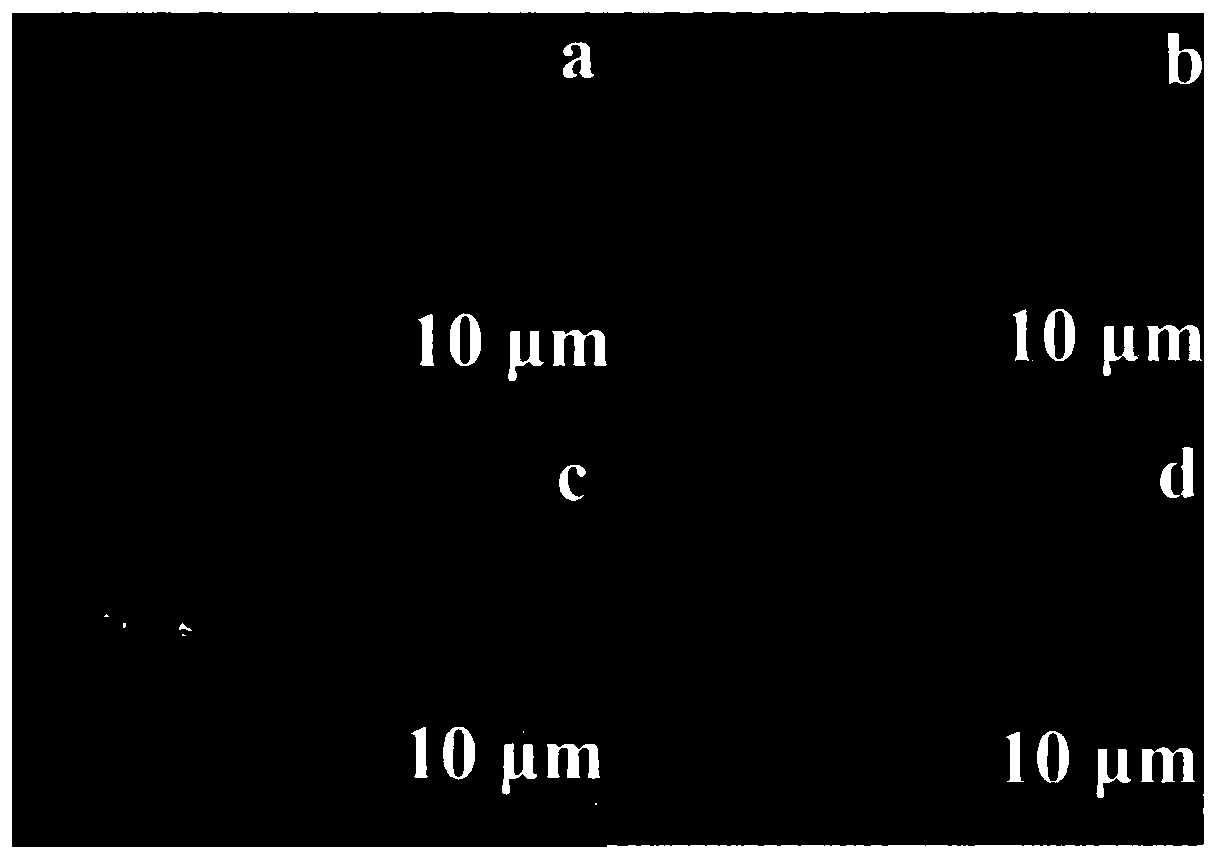 Straw-based hydrogel adsorbent for efficiently removing heavy metal ions and preparation method thereof