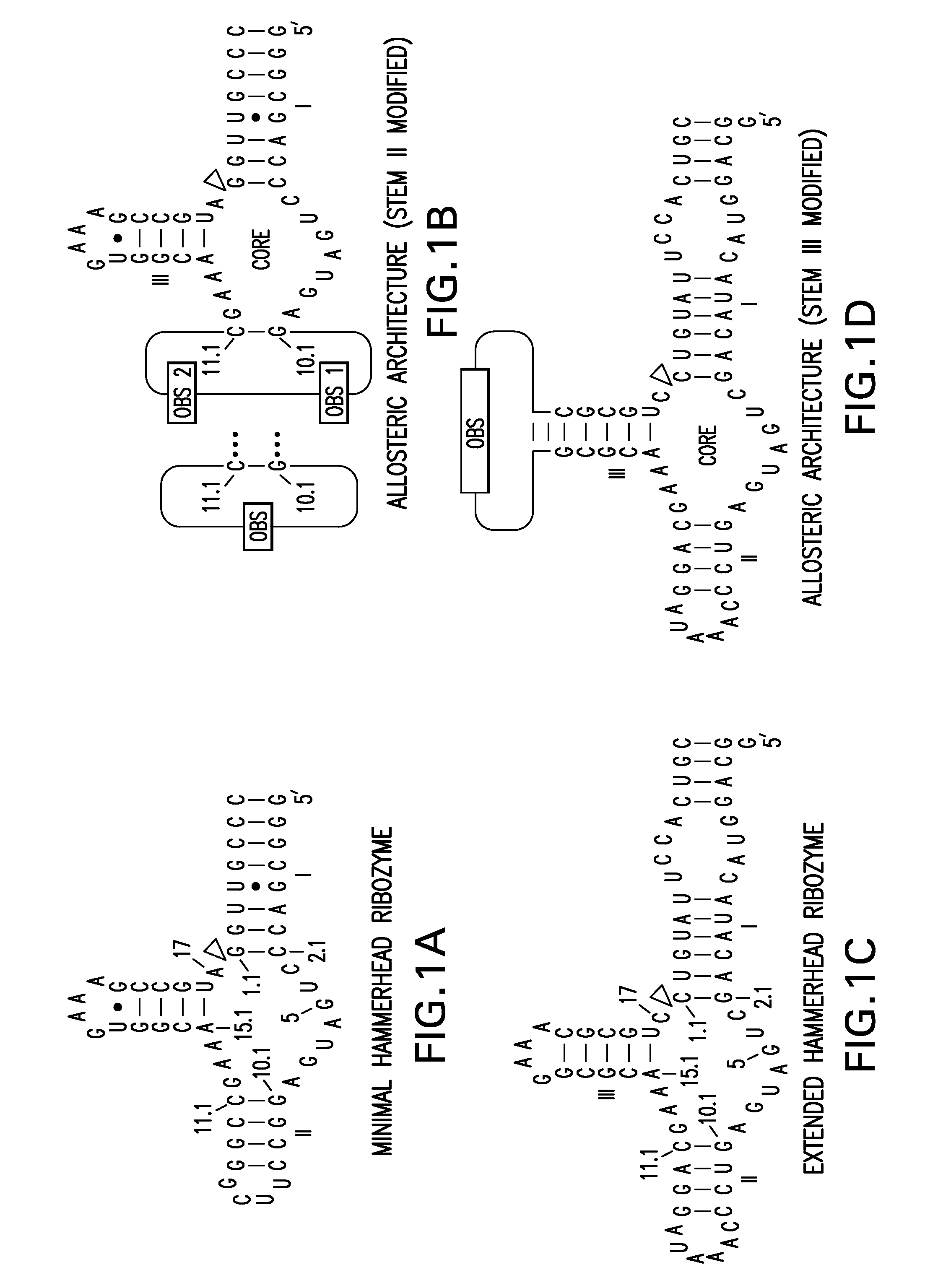 Computational design of ribozymes