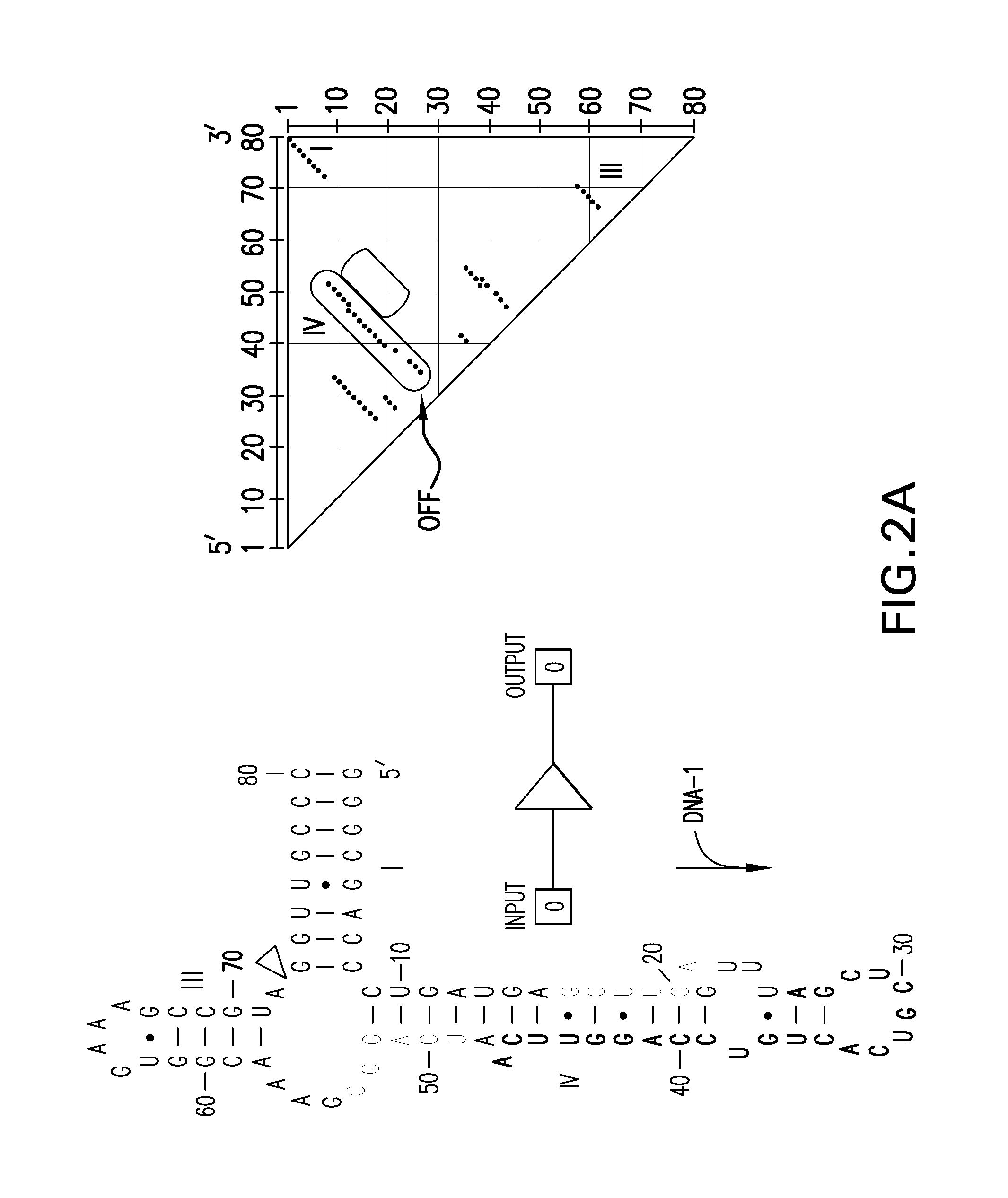 Computational design of ribozymes