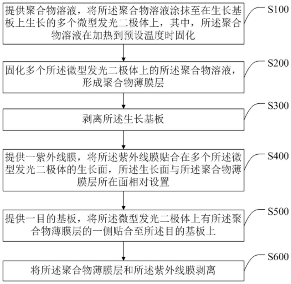 Miniature light-emitting diode transfer method and display device