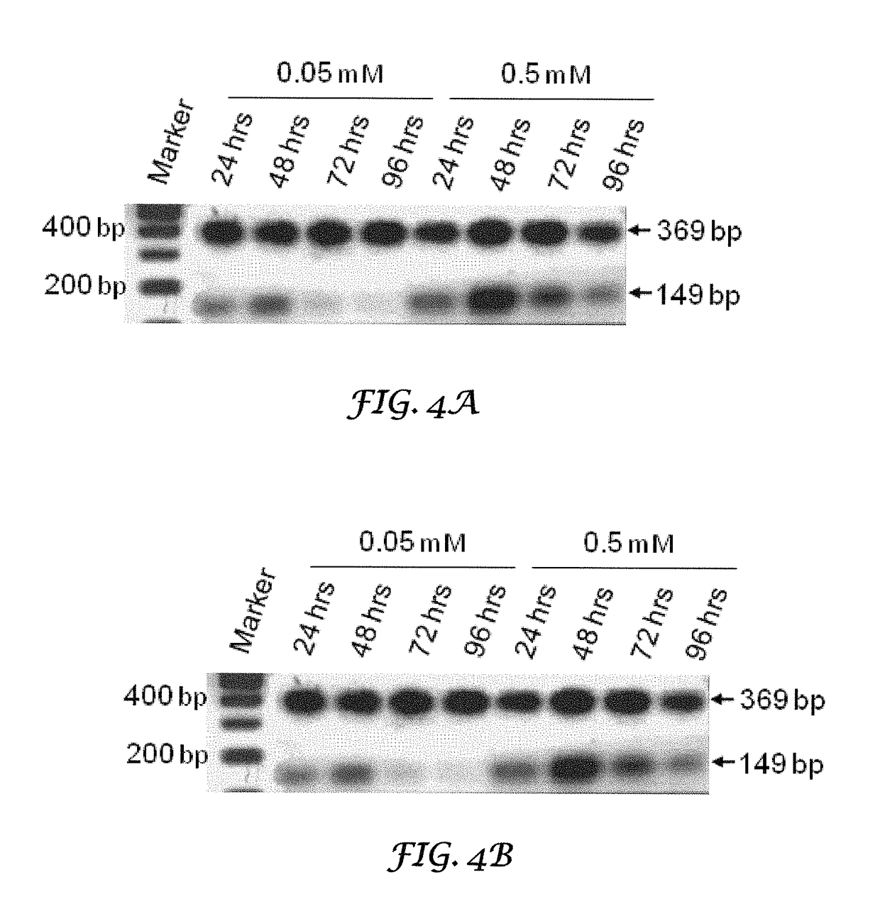 Thrombocyte inhibition via vivo-morpholino knockdown of alpha IIb