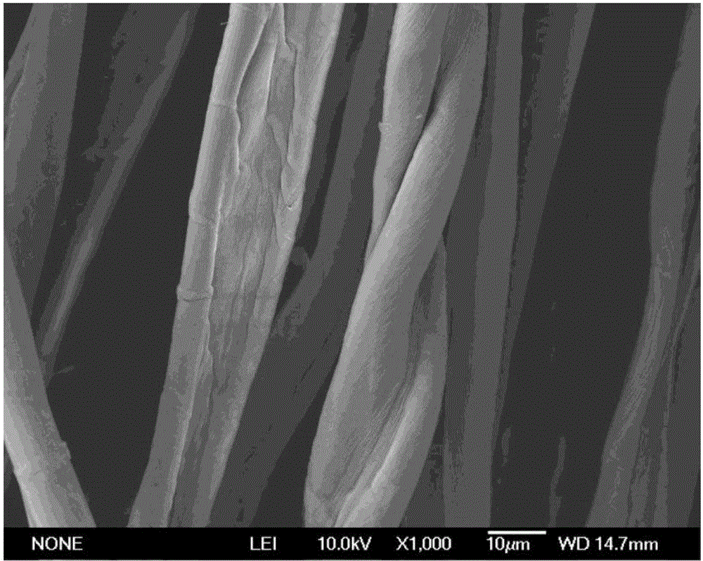 Method for modifying and dyeing cotton fibers by adopting tetrabutyl titanate and reactive dyes