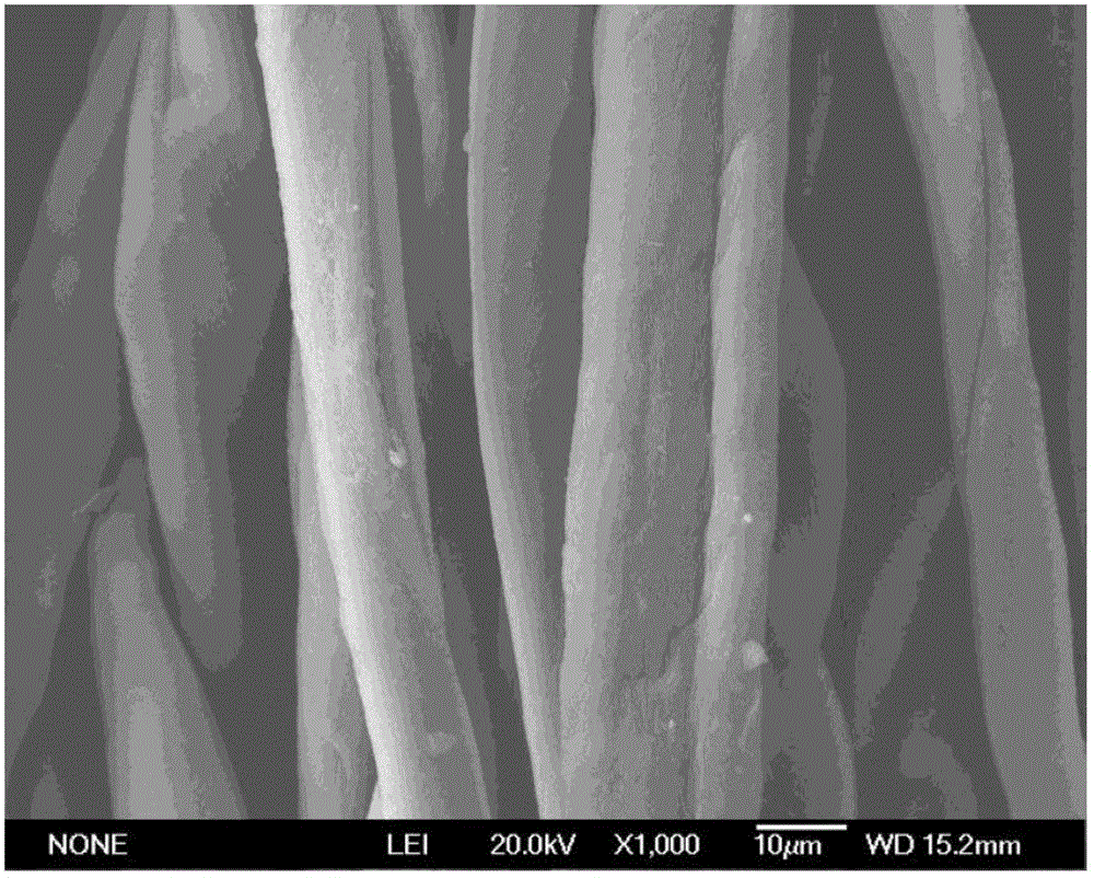 Method for modifying and dyeing cotton fibers by adopting tetrabutyl titanate and reactive dyes