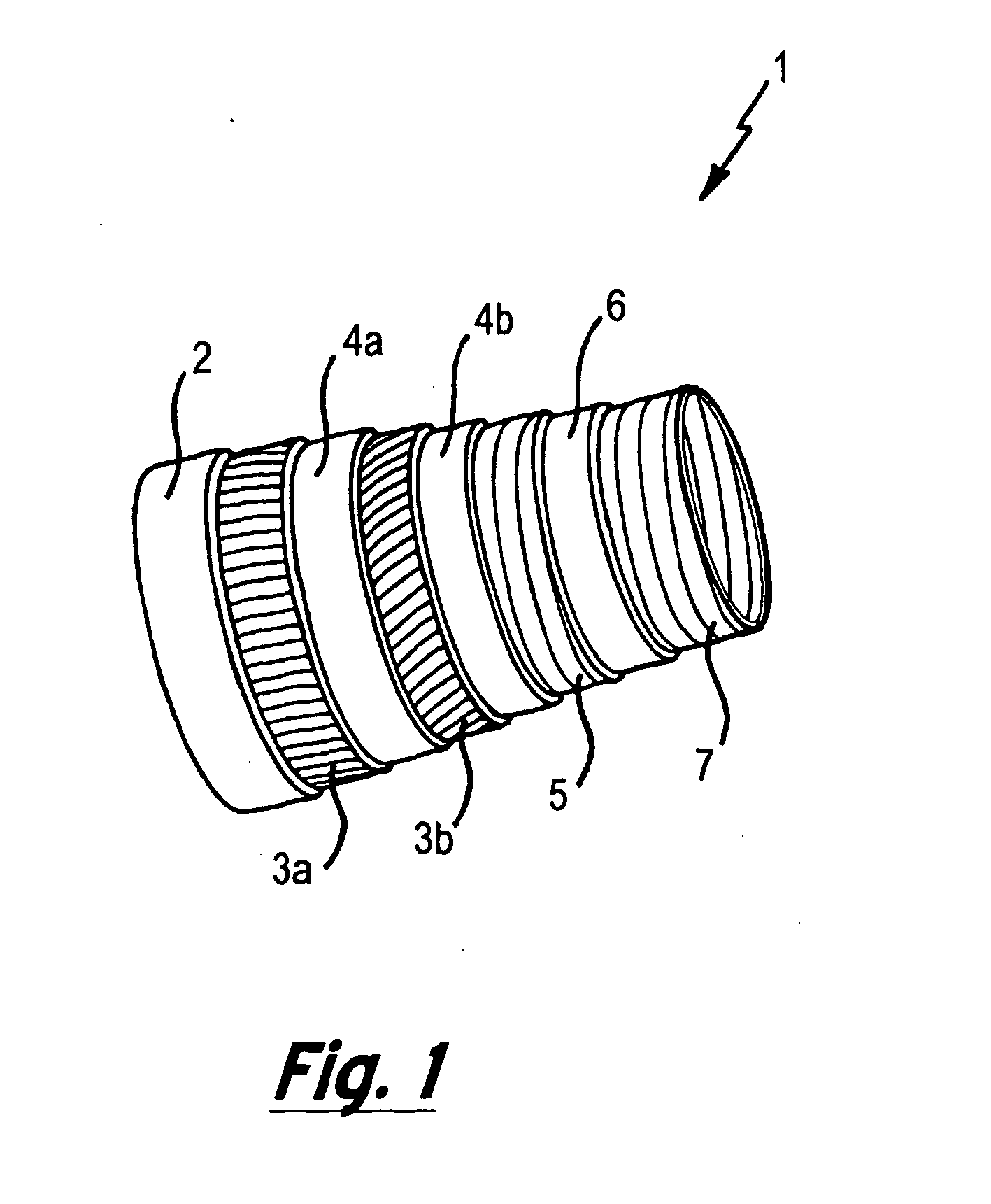 Remote environment inspection apparatus and method