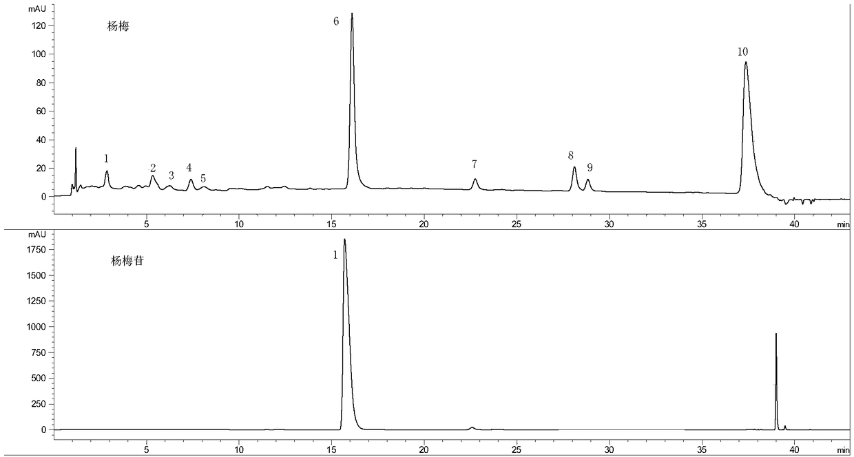 Myrica leaf extract, preparation method and application in cosmetics thereof