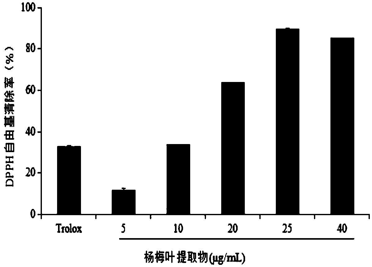 Myrica leaf extract, preparation method and application in cosmetics thereof