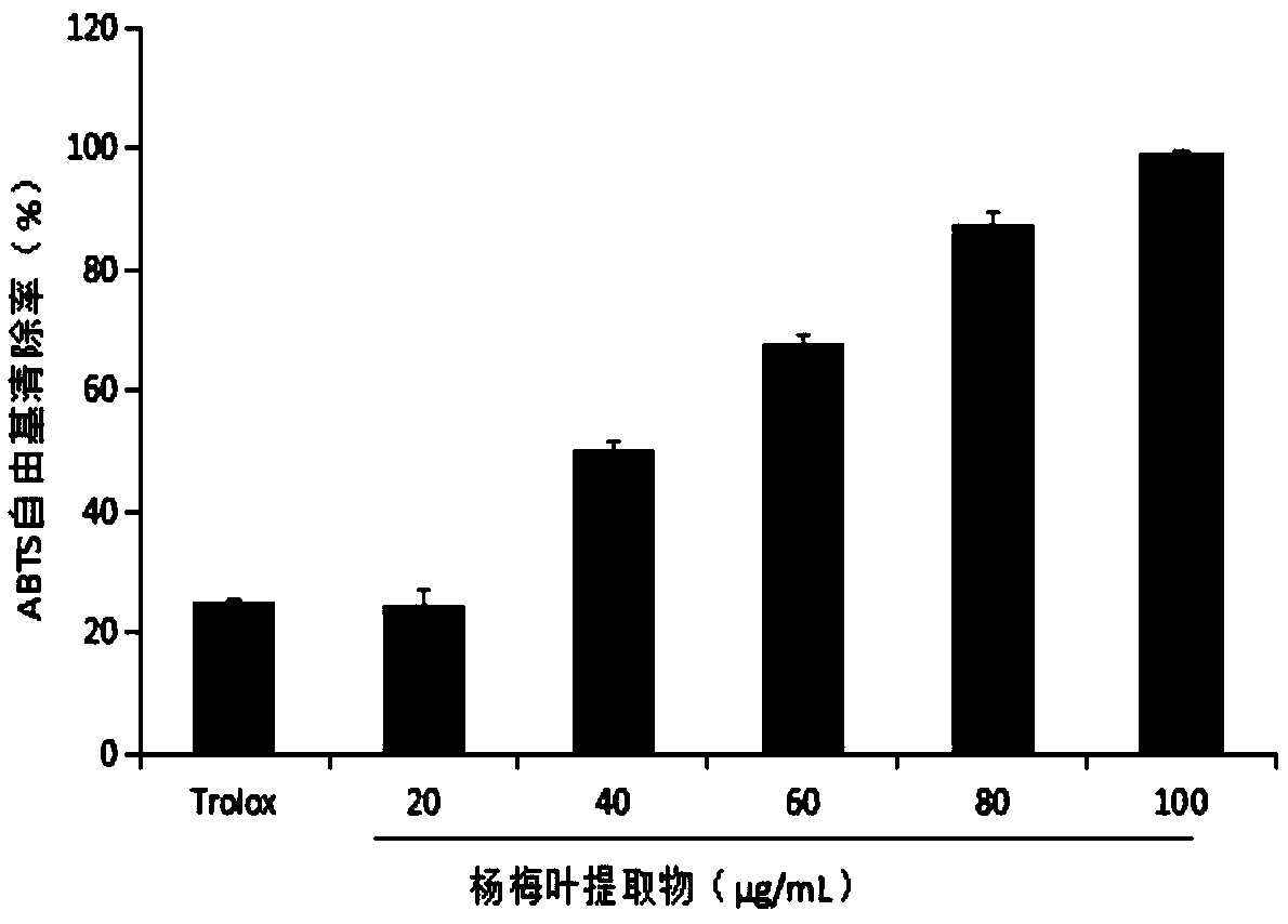 Myrica leaf extract, preparation method and application in cosmetics thereof