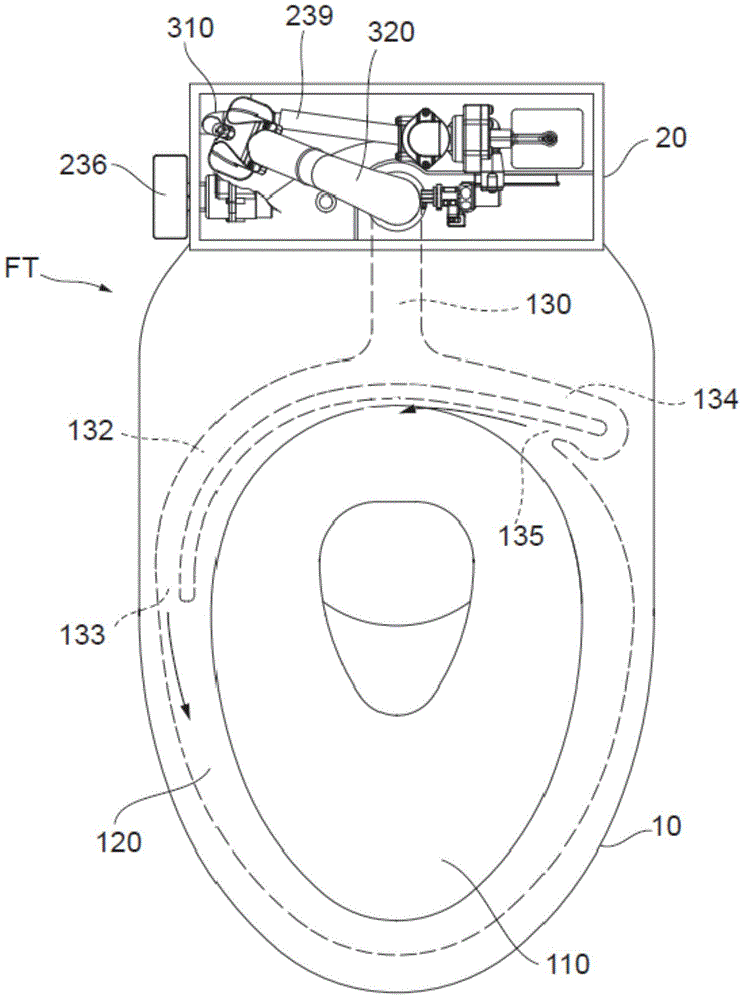 Flush toilet apparatus