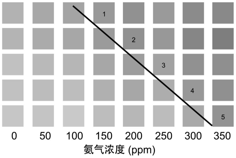 Counting type sensing array indication label and preparation method and application thereof