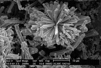 Synthetic method of zsm‑5 molecular sieve with special morphology