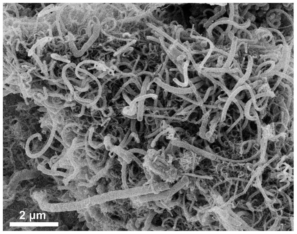 Preparation of carbon nanotube and application of carbon nanotube in lithium ion battery