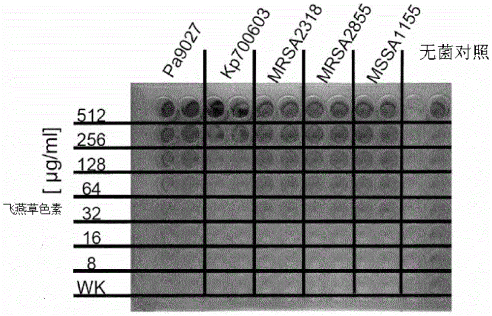 Application of Delphinidin against Staphylococcus aureus