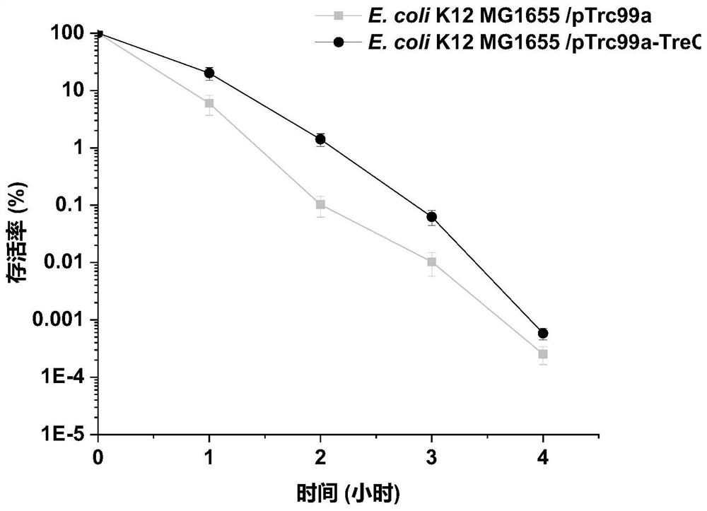 Method for improving acid stress resistance of recombinant escherichia coli