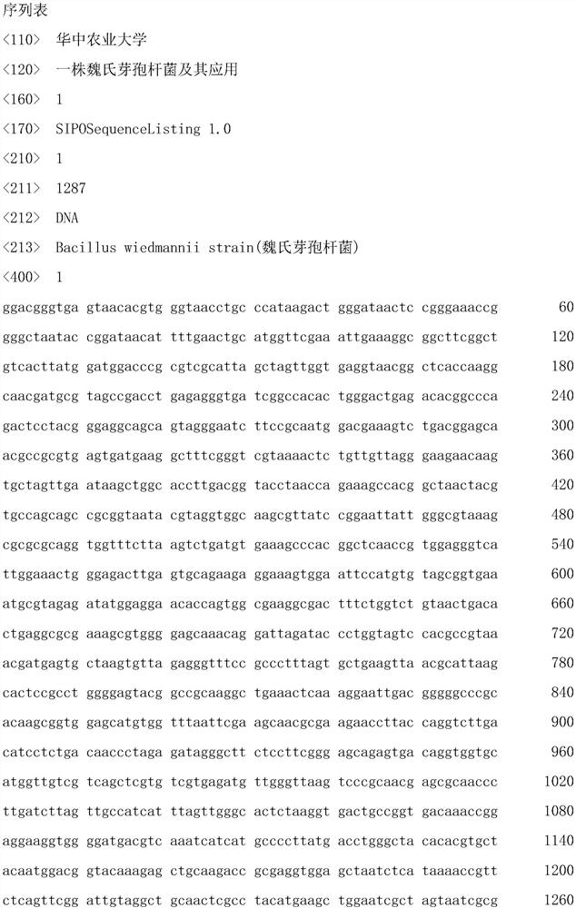 A strain of Bacillus welchii and its application